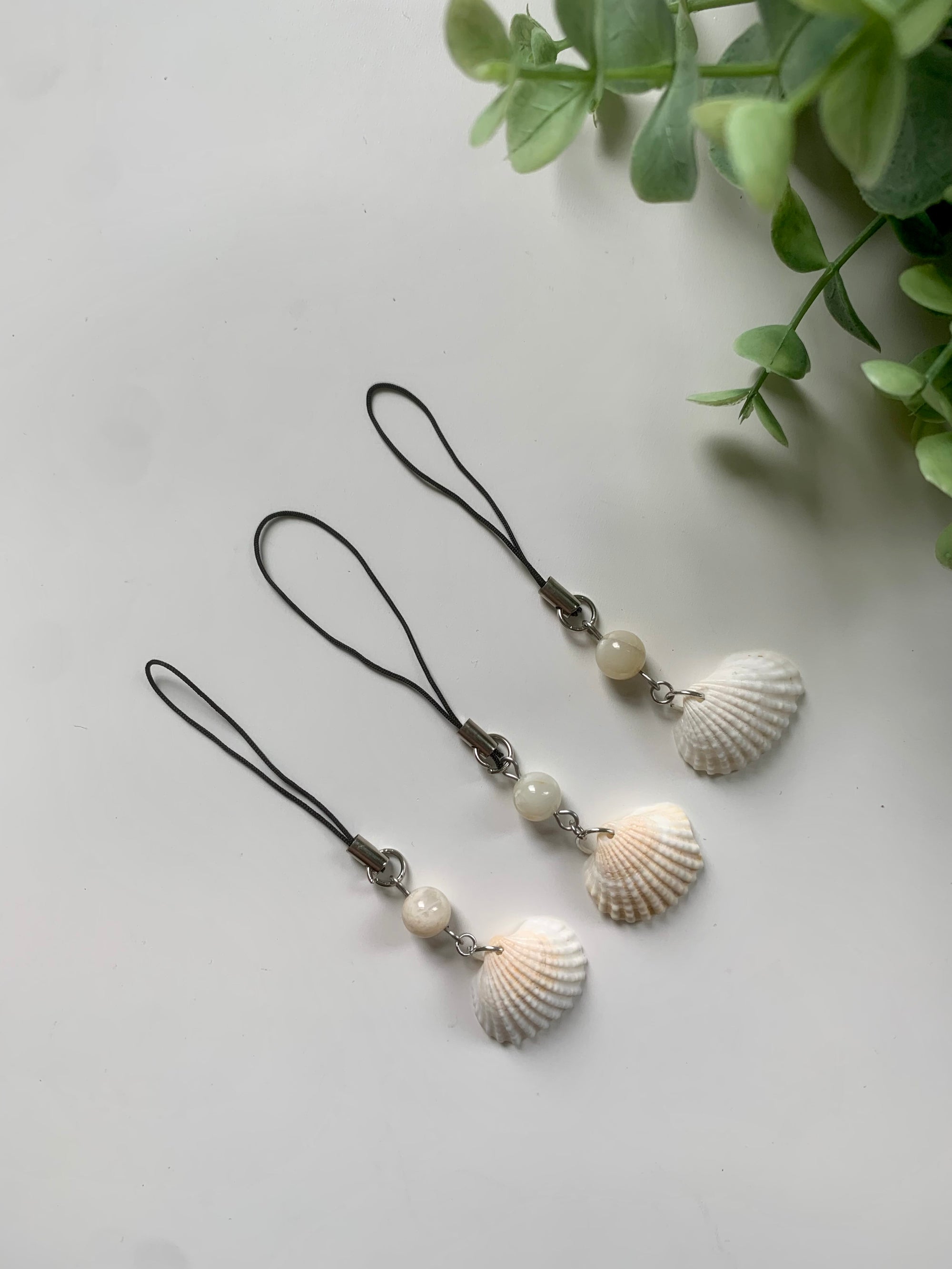 shell shine | anhänger