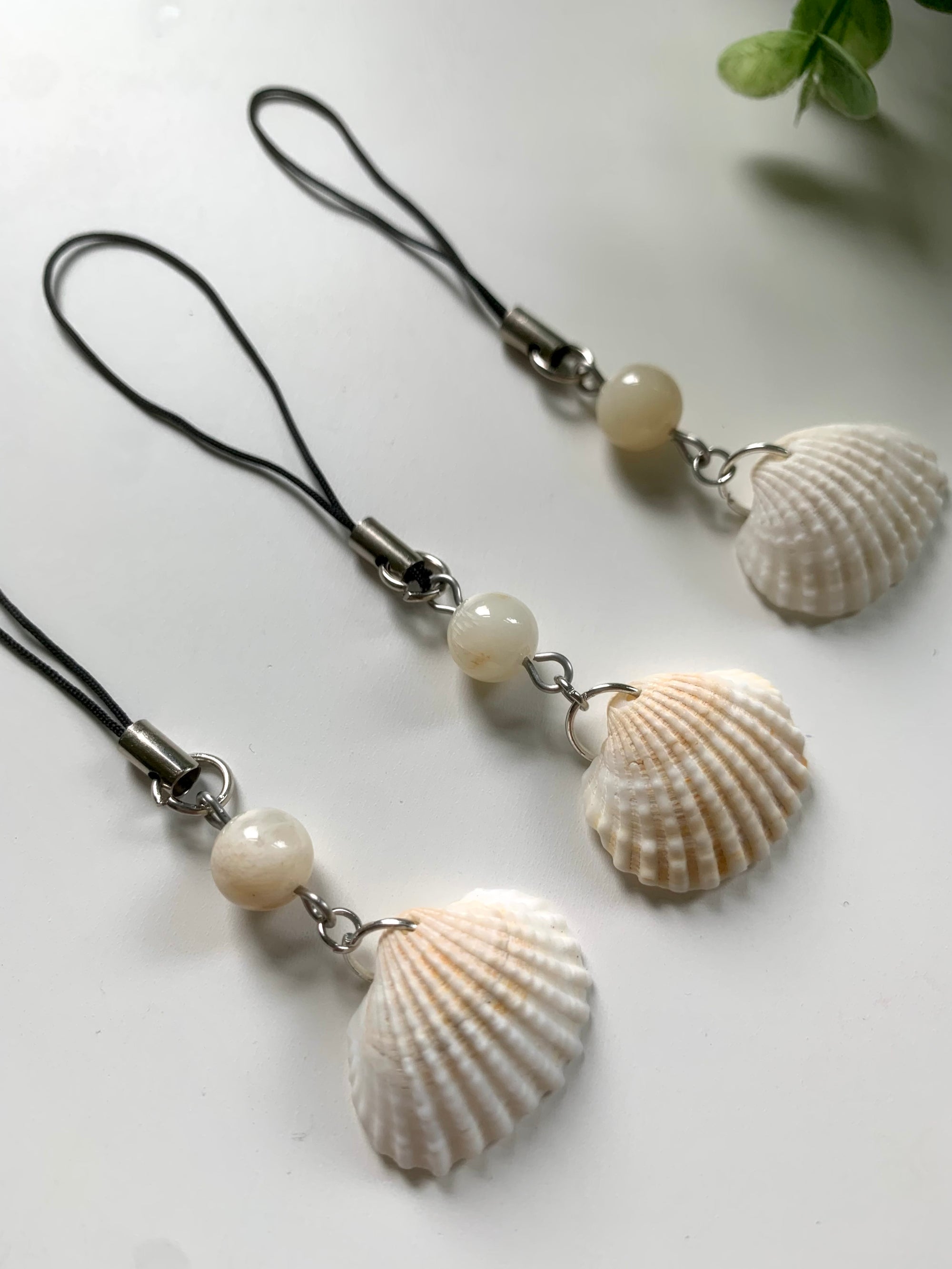 shell shine | anhänger