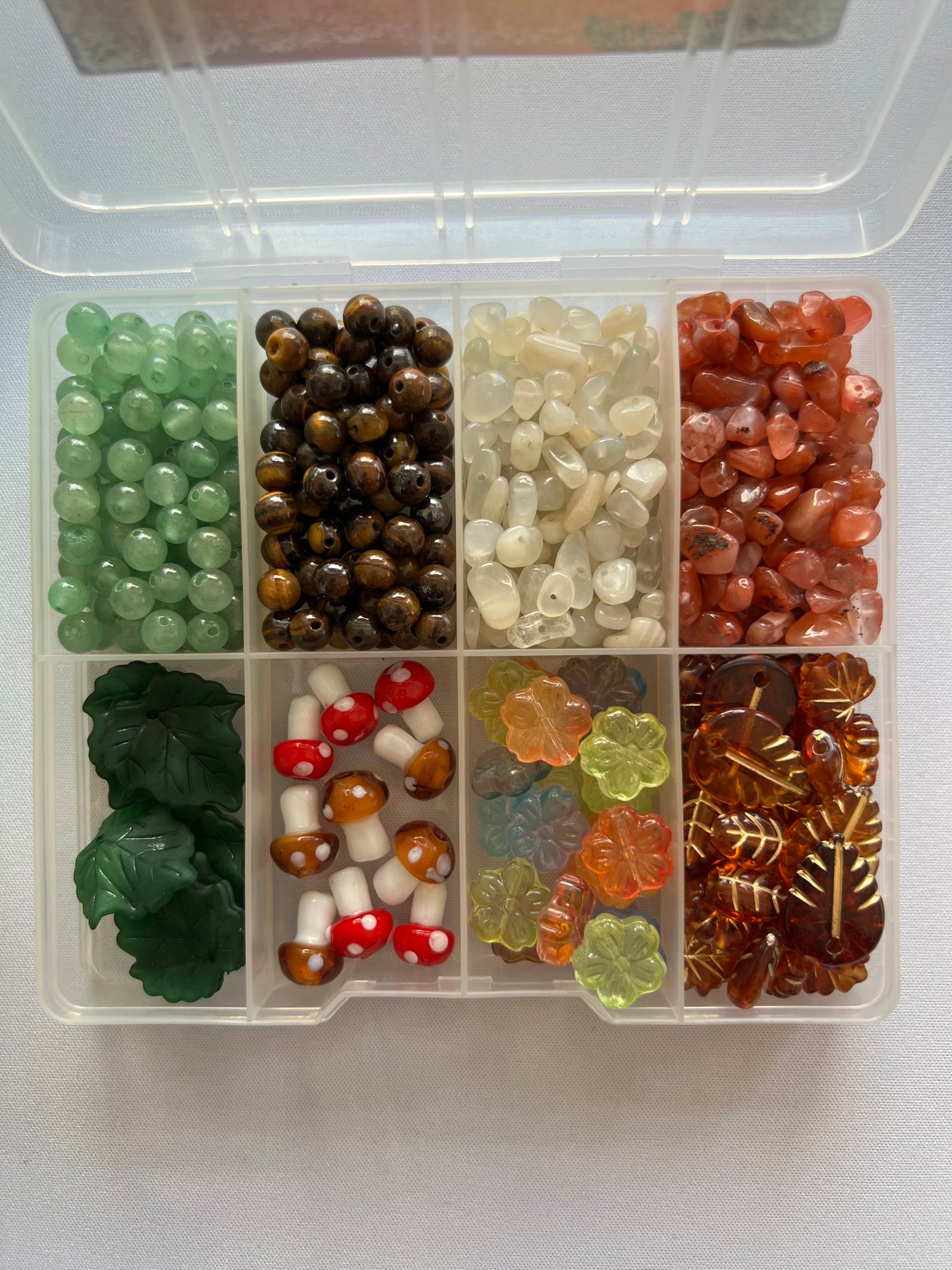 mystic mushroom schmuckbox