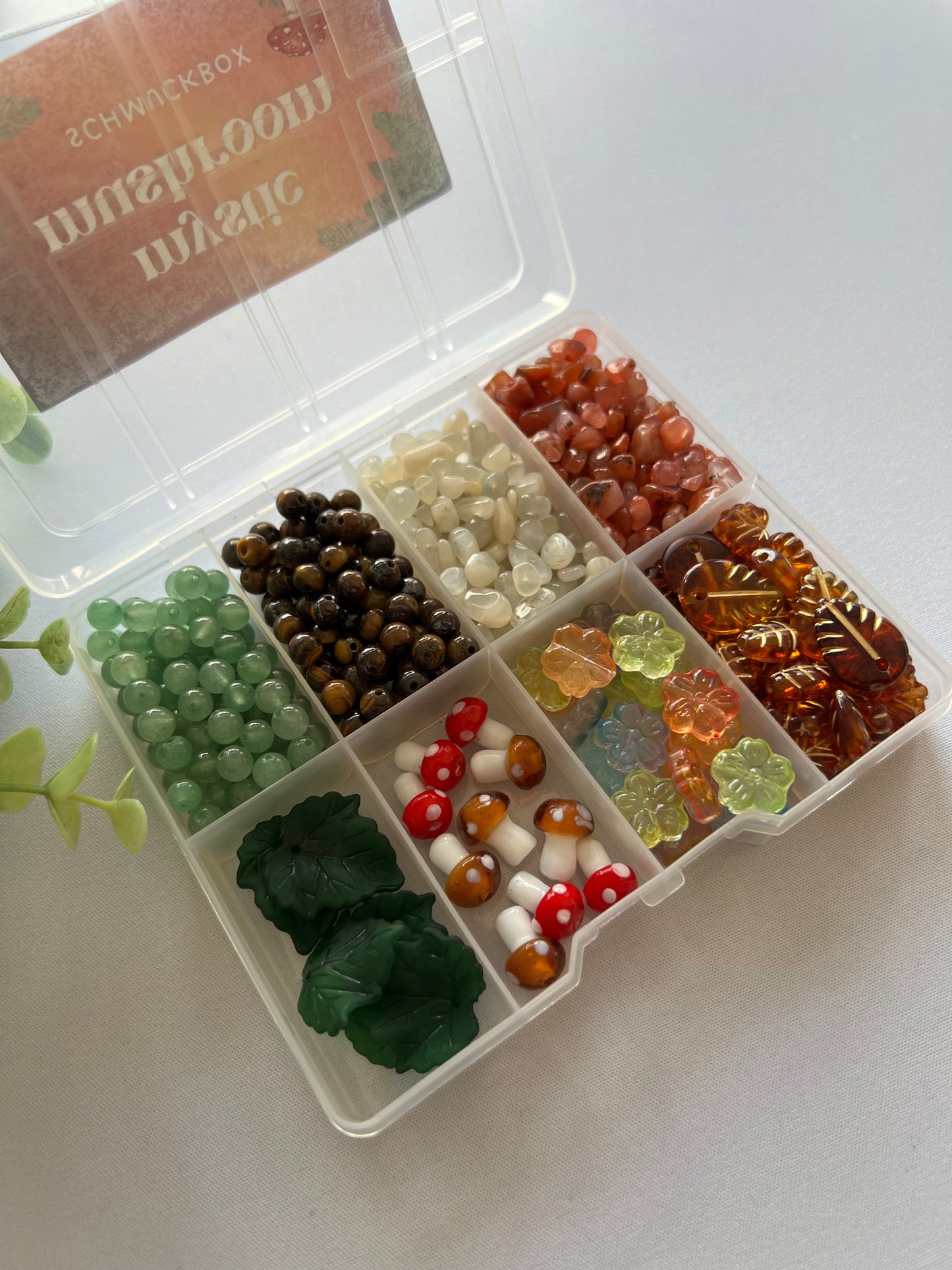 mystic mushroom schmuckbox